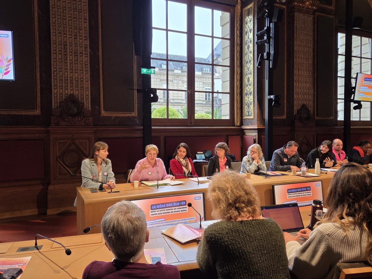 Colloque de la Fédération Nationale Solidarité Femmes : Violences faites aux femmes en milieu rural