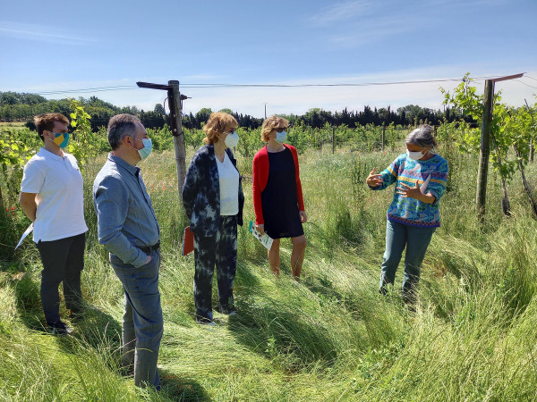 Enseignement agricole : l'urgence d'une transition agro-politique