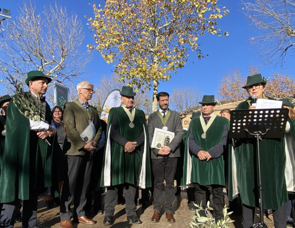 Fête de l'olive piquée et des vins du terroir à Nyons