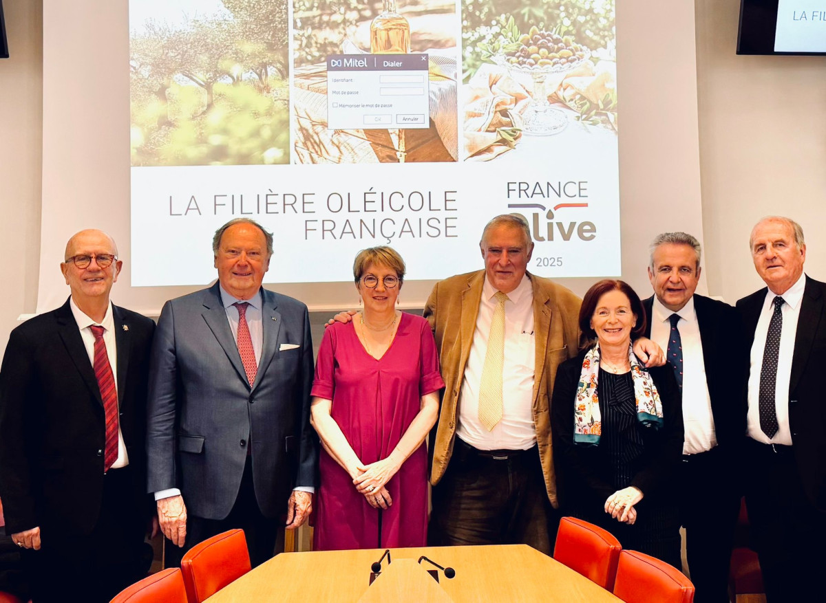 La filière oléicole, pilier emblématique du terroir Drômois