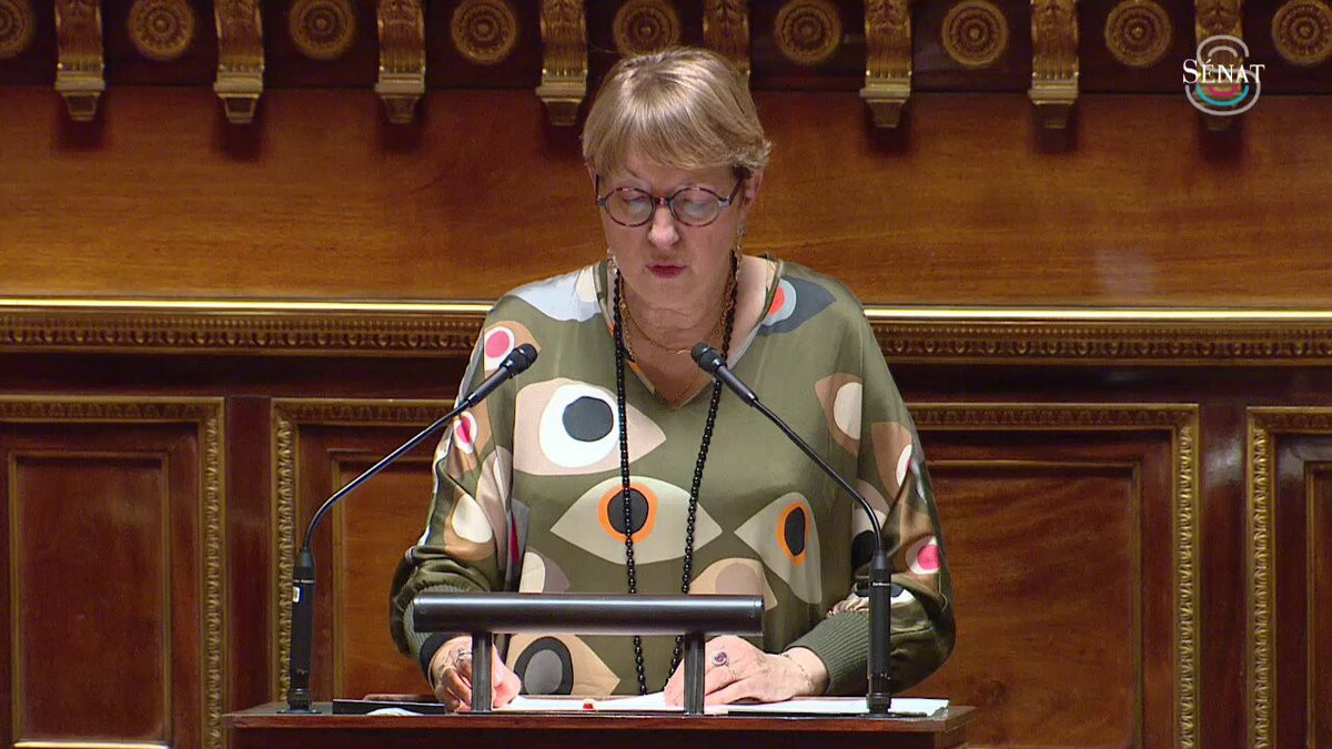 Le sénat rejette la Proposition de Loi visant à intégrer les AESH au sein de la fonction publique