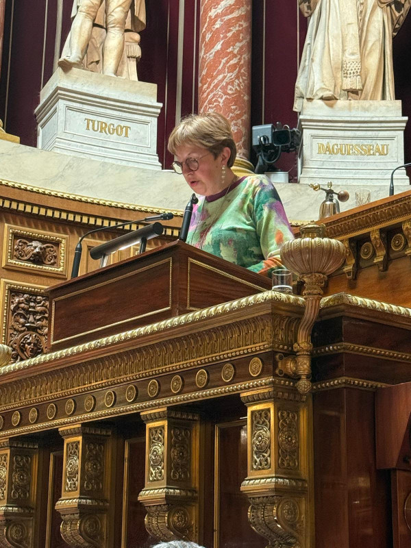 L'enseignement scolaire en débat au budget 2026