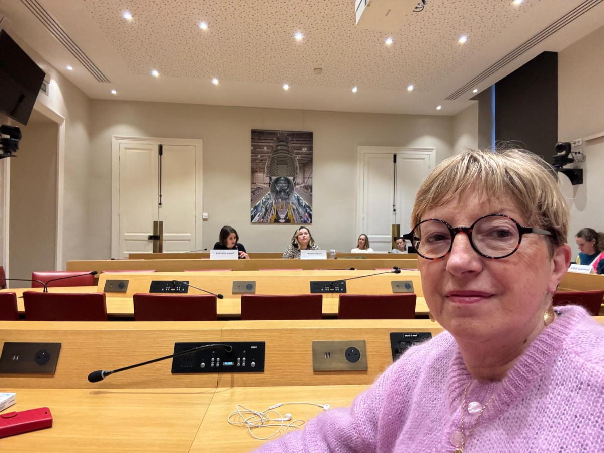 Les réseaux mascilinistes