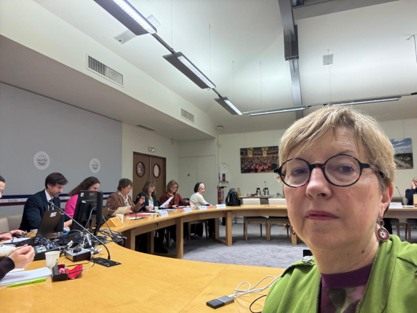 Lutte contre les mouvements masculinistes