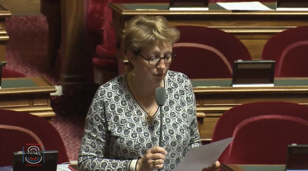 Mon intervention en séance pour une majorité numérique à 15 ans