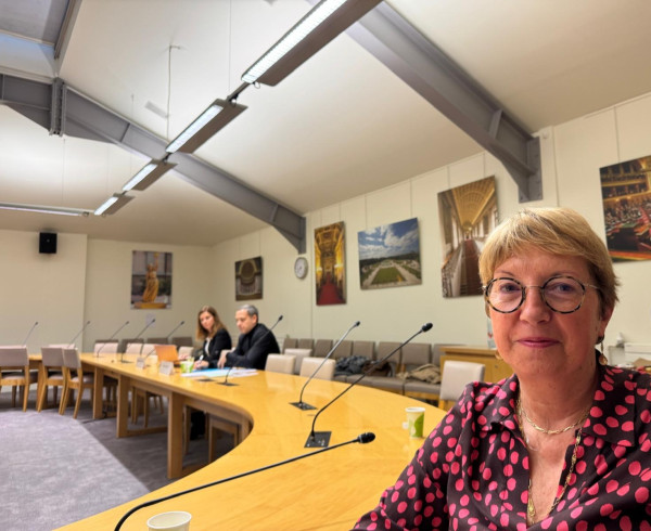 Parcours des mineurs auteurs de violences sexuelles : un rapport passionnant