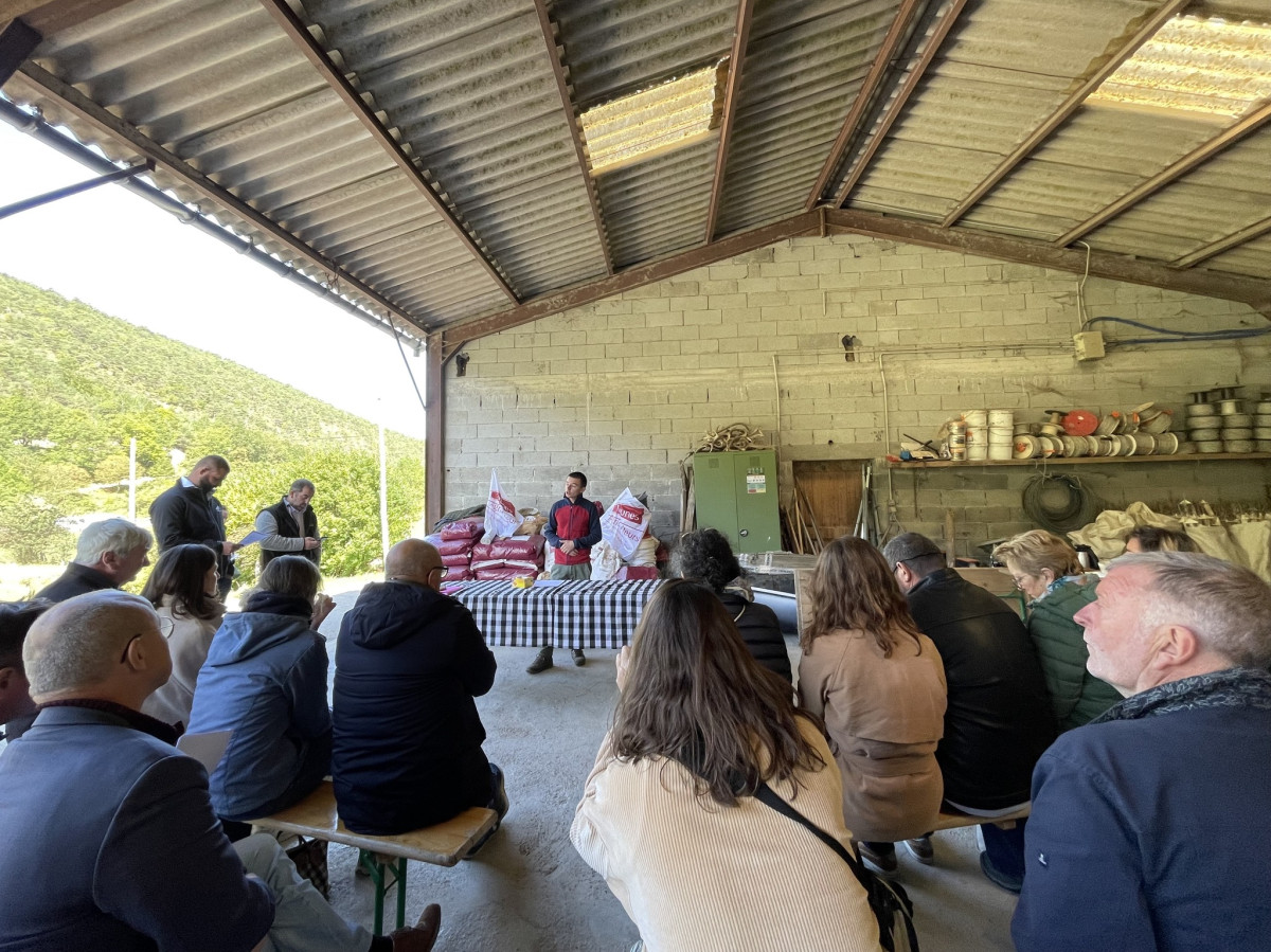 Faire face à la prédation du loup