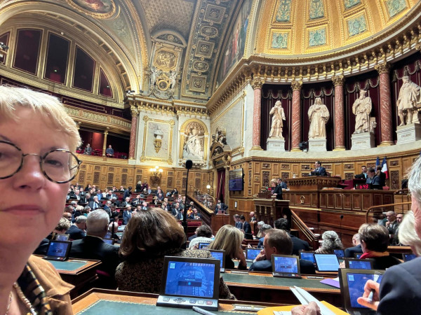 PLFSS 25 : quelle version issue du Sénat ?