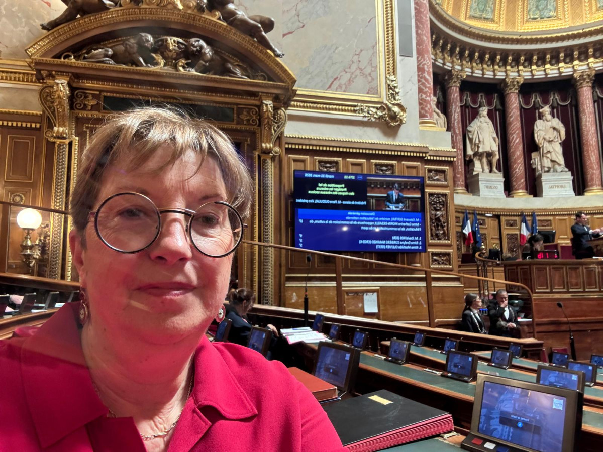Protéger les mineurs des risques liés aux réseaux sociaux : examen d'une proposition de loi au Sénat