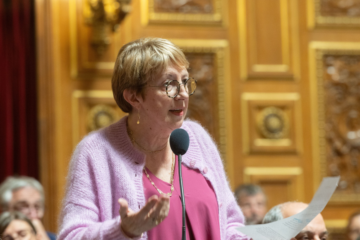 Question Au Gouvernement : un nombre insuffisant d'AESH