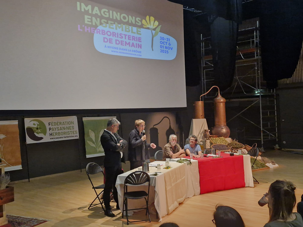 Rencontres avec les herboristes