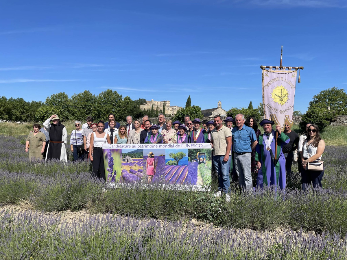 Retour sur l'AG de la « Maison du Patrimoine Culturel Lavandicole de Provence »