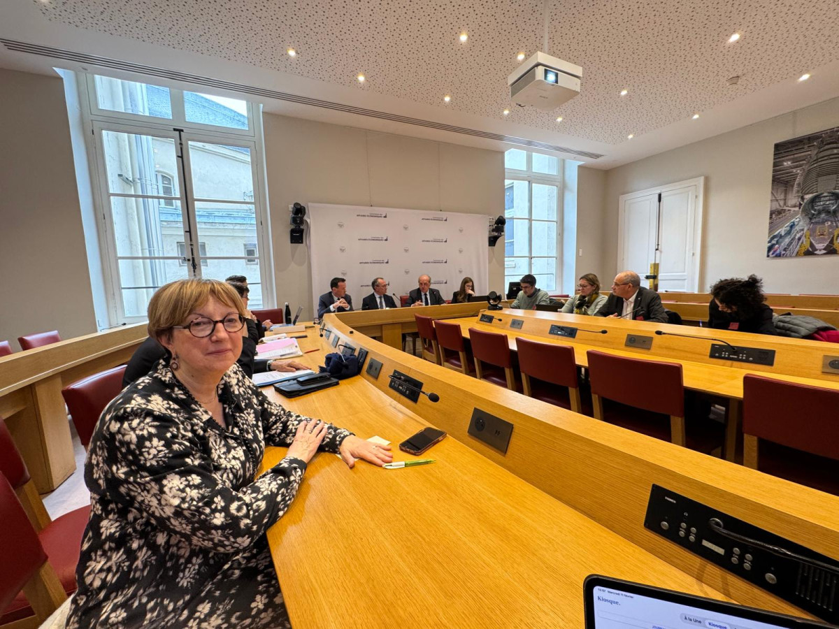 Un point sur l'usage du cuivre en viticulture